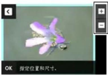 OK 指定位置和尺寸。