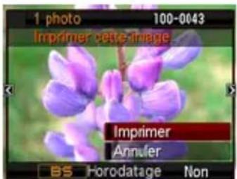 1 photo 100-0043 Imprimer cette-image Imprimer Annuler BS Horodatage Non