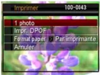 Imprimer 100-0043 1 photo Impr. DPOF Format paper > Par imprimante Annuler