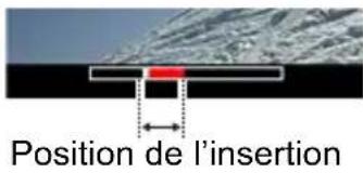 Position de l'insertion