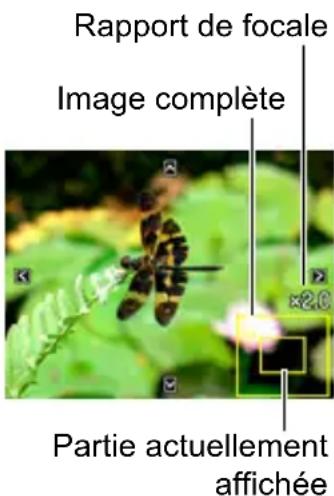 Rapport de focale Image complète ×2.0 Partie actuellement affichée