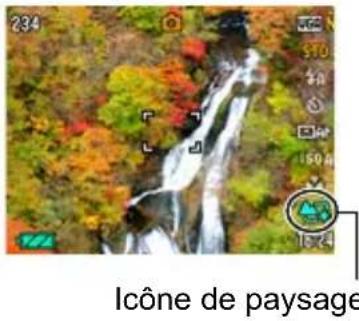 234 $10 60 150 1X4 Icône de paysage