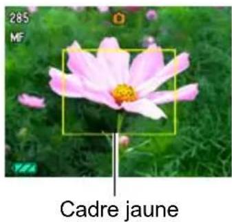 285 MF Cadre jaune