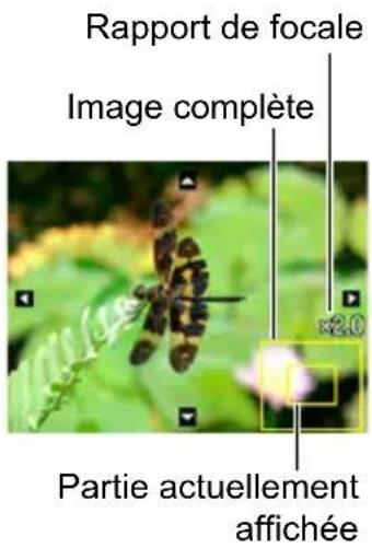 Rapport de focale Image complète ×2.0 Partie actuellement affichée