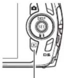 CASIO Exilim EX-Z350 - Appuyez sur [▶] (PLAY) pour accéder au mode PLAY. - 1
