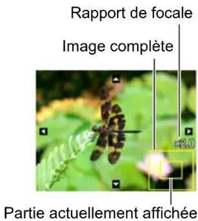 Rapport de focale Image complète ×2.0 Partie actuellement affichée