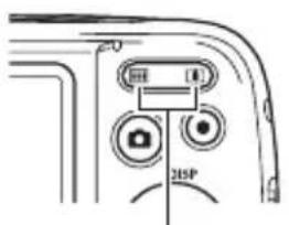 215P