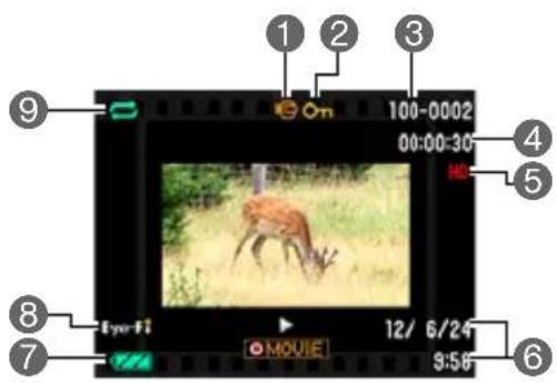 1 2 3 4 5 6 7 8 9 100-0002 00:00:30 HD Eye-Fi MOVIE 12/ 6/24 9:56
