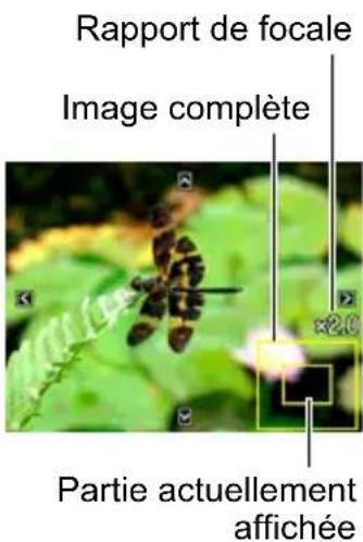 Rapport de focale Image complète ×2.0 Partie actuellement affichée