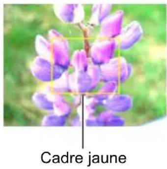 Cadre jaune