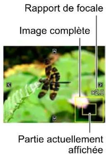 Rapport de focale Image complète ×2.0 Partie actuellement affichée