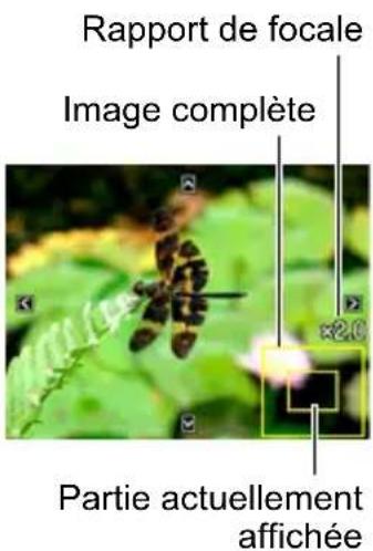 Rapport de focale Image complète ×2.0 Partie actuellement affichée