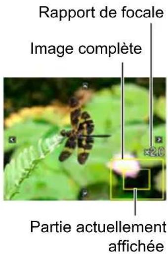Rapport de focale Image complète ×2.0 Partie actuellement affichée
