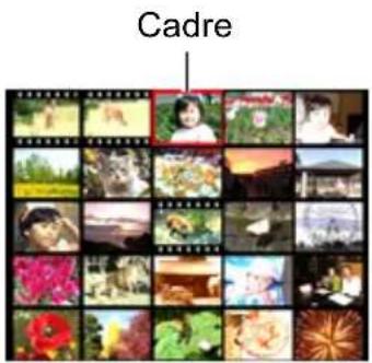 Cadre