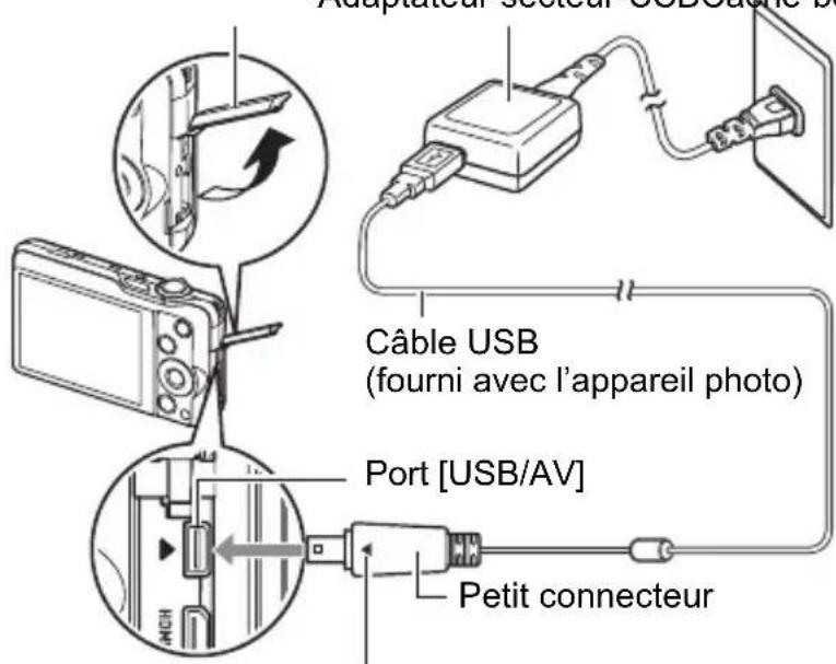 Adaptateur secteur USB/AV Câble USB (fourni avec l'appareil photo) Port [USB/AV] Petit connecteur