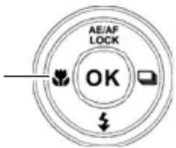 AE/AF LOCK OK