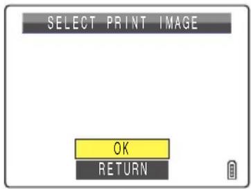SELECT PRINT IMAGE OK RETURN
