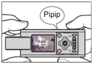 Pipip