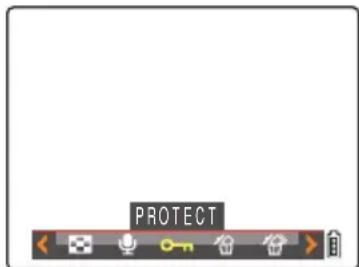 PROTECT