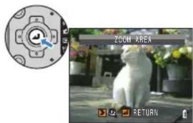 ZOOM AREA RETURN