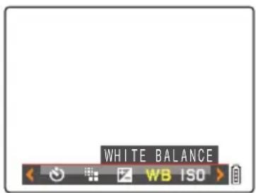 WHITE BALANCE WB ISO