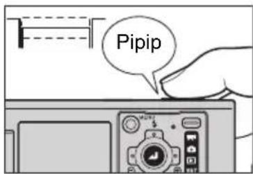 Pipip