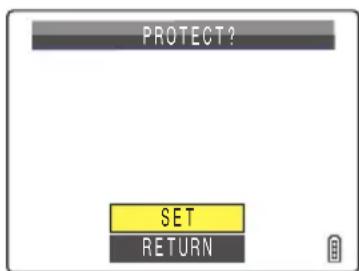 PROTECT? SET RETURN