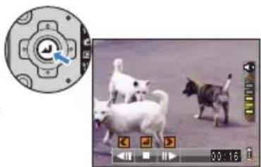 Video editing interface showing a circular object with a central dog icon and a group of white dogs in motion, displayed alongside a video player interface (no readable text or symbols)