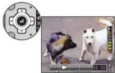 Two dog photos: one with a circular head and black spots, the other with a white cat walking on a dirt path (no visible text or symbols)