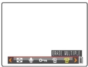 ERASE MULTIPLE