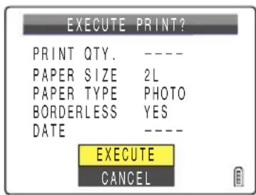 EXECUTE PRINT? PRINT QTY. ---- PAPER SIZE 2L PAPER TYPE PHOTO BORDERLESS YES DATE ---- EXECUTE CANCEL