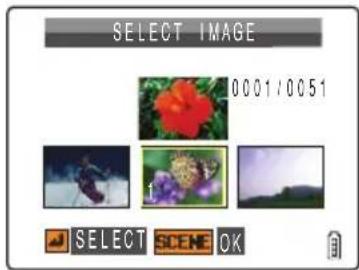CONTAX i4R - Press the 4-way button up to select [SET], then press the OK button 🔊. - 1
