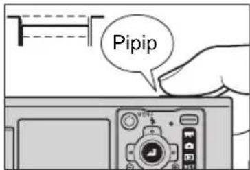 Pipip