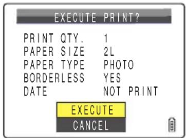 EXECUTE PRINT? PRINT QTY. 1 PAPER SIZE 2L PAPER TYPE PHOTO BORDERLESS YES DATE NOT PRINT EXECUTE CANCEL