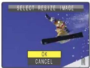 SELECT RESIZE IMAGE OK CANCEL