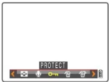 PROTECT