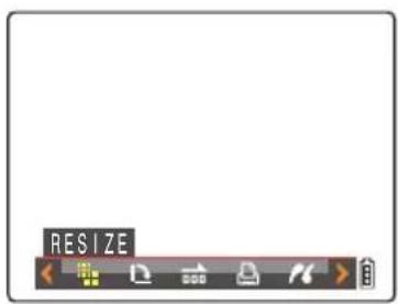 RESIZE