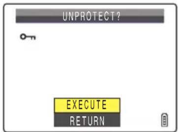 UNPROTECT? EXECUTE RETURN
