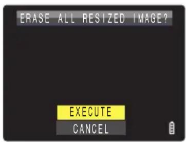 ERASE ALL RESIZED IMAGE? EXECUTE CANCEL