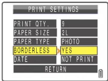 PRINT SETTINGS PRINT QTY. 9 PAPER SIZE 2L PAPER TYPE PHOTO BORDERLESS YES DATE NOT PRINT RETURN
