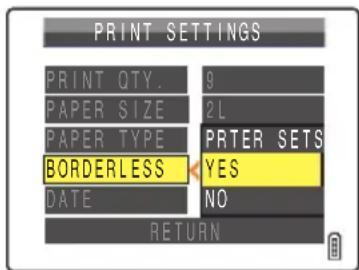 PRINT SETTINGS PRINT QTY. 9 PAPER SIZE 2L PAPER TYPE PRINTER SETS BORDERLESS YES DATE NO RETURN