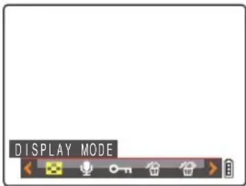 DISPLAY MODE