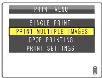 PRINT MENU SINGLE PRINT PRINT MULTIPLE IMAGES DPOF PRINTING PRINT SETTINGS