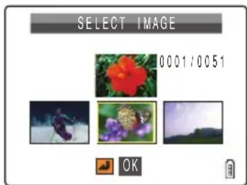 SELECT IMAGE 0001/0051