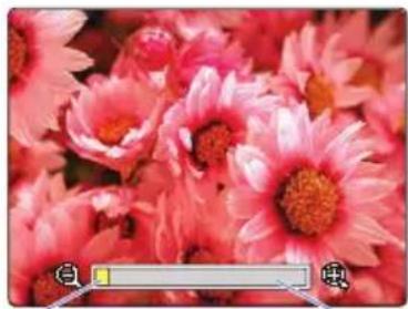 Close-up of vibrant pink chrysanthemums with a central orange core.
