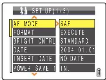 SET UP (1/3) AF MODE FORMAT BRIGHT CNTRL DATE INSERT DATE POWER SAVE 1 SAF EXECUTE STANDARD 2004.01.01 NO DATE IN.