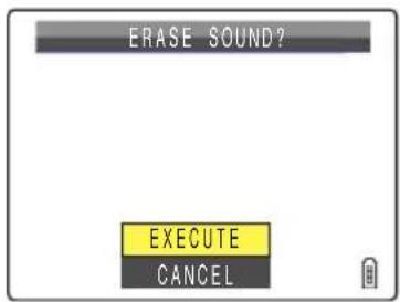 ERASE SOUND? EXECUTE CANCEL