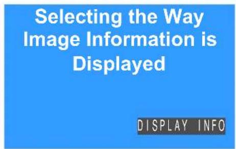 Selecting the Way Image Information is Displayed DISPLAY INFO