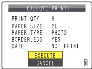 EXECUTE PRINT? PRINT QTY. 9 PAPER SIZE 2L PAPER TYPE PHOTO BORDERLESS YES DATE NOT PRINT EXECUTE CANCEL