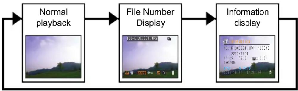 graph LR A["Normal playback"] --> B["File Number Display"] B --> C["Information display"]